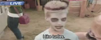 I like turtles.